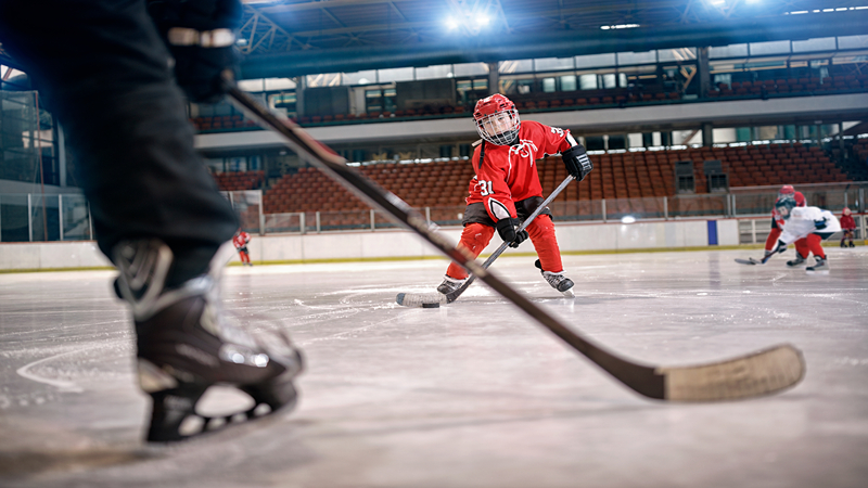 Ford Ice Center